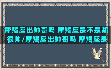 摩羯座出帅哥吗 摩羯座是不是都很帅/摩羯座出帅哥吗 摩羯座是不是都很帅-我的网站